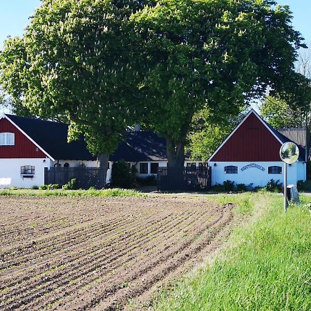 Knappagarden Glemminge Esterno foto